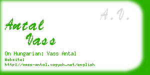antal vass business card